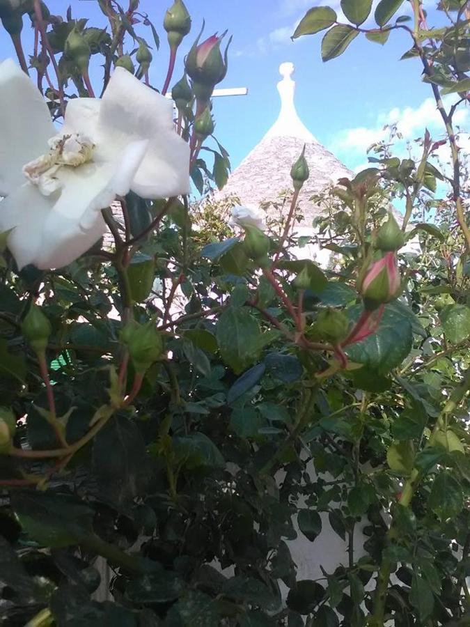 Trulli Di Ivana Ostuni Luaran gambar
