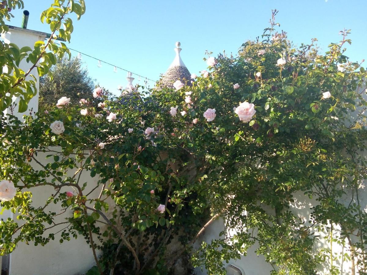 Trulli Di Ivana Ostuni Luaran gambar